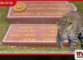 පේරාදෙණිය විශ්වවිද්‍යාලය තුළ  දිවියන් ගැවසීමේ අවදානමක්