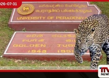 පේරාදෙණිය විශ්වවිද්‍යාලය තුළ  දිවියන් ගැවසීමේ අවදානමක්