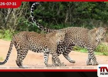 විපක්ෂ නායක සජිත් ප්රේමදාසගේ ප්රධානත්වයෙන් හෙට ශ්රී ලංකා දිවියෙකුගේ දිනය සැමරේ