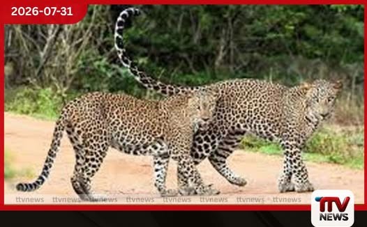 විපක්ෂ නායක සජිත් ප්රේමදාසගේ ප්රධානත්වයෙන් හෙට ශ්රී ලංකා දිවියෙකුගේ දිනය සැමරේ