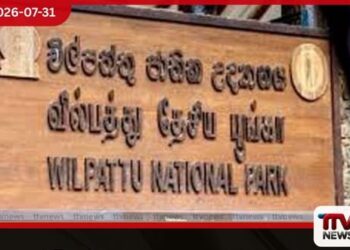 දැඩි නියඟය හේතුවෙන් විල්පත්තු ජාතික උද්යානයට බලපෑම්
