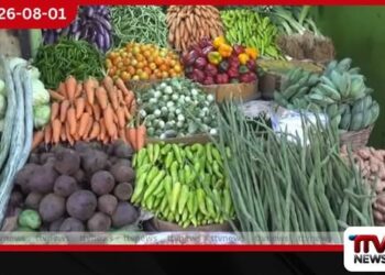 බිත්තරයක් රු.50ට ළඟයි.. මාළු, එළවළු මිලත් අහසට