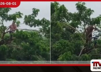 ඉන්දියාවේ මහාරාෂ්ට්‍ර ප්‍රාන්තයේ  ගංවතුරට හසුවූ පුද්ගලයෙකු  ගසකට නැඟ දිවි බේරා ගනී