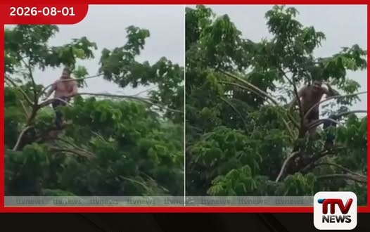 ඉන්දියාවේ මහාරාෂ්ට්ර ප්රාන්තයේ ගංවතුරට හසුවූ පුද්ගලයෙකු ගසකට නැඟ දිවි බේරා ගනී