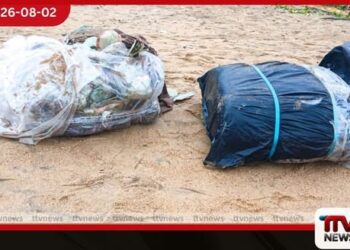 මීගමුවේදී නීතිවිරෝධී බීඩි කොළ තොගයක් නීතියේ රැහැනට
