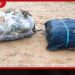 මීගමුවේදී නීතිවිරෝධී බීඩි කොළ තොගයක් නීතියේ රැහැනට