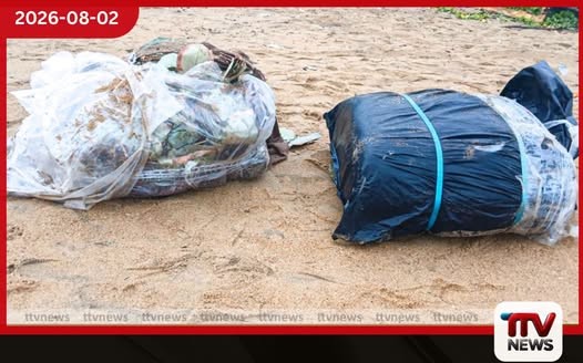 මීගමුවේදී නීතිවිරෝධී බීඩි කොළ තොගයක් නීතියේ රැහැනට