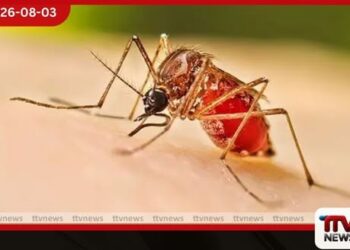 ජූලි මාසයෙන් ඩෙංගු වාර්තා බිඳෙයි!