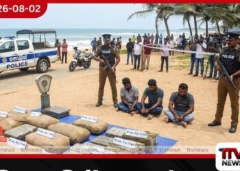 මුහුදු මාර්ගයෙන් ගෙනා බීඩි කොළ කිලෝ 776ක් මීගමුවේදී අල්ලයි!
