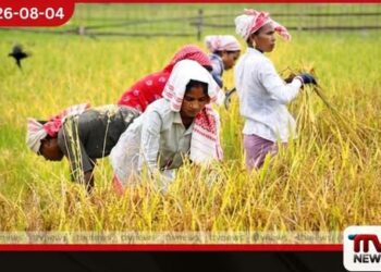 ඉන්දියාවේ ගොවීන්ට රුපියල් ට්රිලියන 3.16ක මූල්ය සහනාධාරයක්