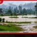 ඩෙවෝන් ඇළ පිටාර ගැලීමෙන් නිවාස 40ක් ජලයෙන් යටවෙයි