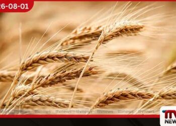 යුක්රේන ඩ්‍රෝන ප්‍රහාර හේතුවෙන් ගෝලීය ආහාර සුරක්ෂිතතාව දැඩි අර්බුදයක රුසියාවෙන් අනතුරු ඇඟවීමක්
