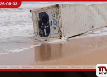 ආචාර්ය රත්න ශ්රී විජේසිංහ යළි ජාතික පුස්තකාල සභාපති ධුරයට