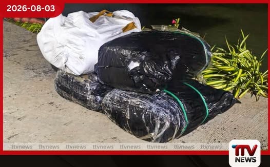 නීති විරෝධී ලෙස මෙරටට රැගෙන ආ බීඩි කොළ තොගයක් නීතියේ රැහැනට