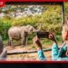 සංචාරක කර්මාන්තය නංවන්න 2027 සිට දිස්ත්රික්කවලට සෘජු අරමුදල්