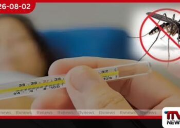 ඩෙංගු රට පුරා හිස ඔසවයි…