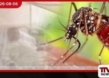 ඩෙංගු මරණ 63ක් දක්වා ඉහළට!