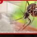 ඩෙංගු මරණ 63ක් දක්වා ඉහළට!