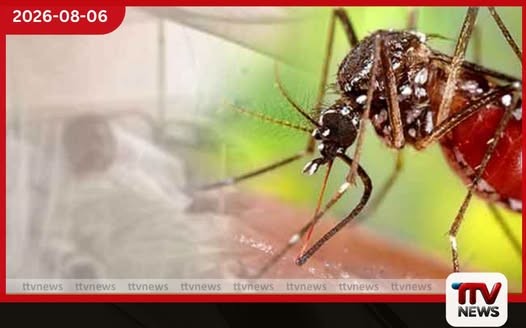 ඩෙංගු මරණ 63ක් දක්වා ඉහළට!