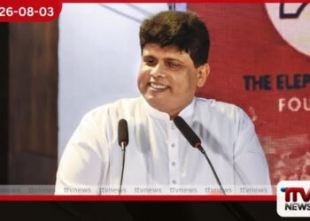 පෙරහර සංස්කෘතිය පවත්වා ගැනීම අභියෝගයක් වන තරමට හීලෑ අලි සංචිතය අඩුවෙමින් යනවා