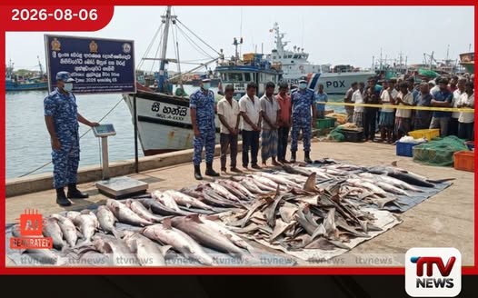 නීතිවිරෝධී ලෙස අල්ලන ලද මෝර මසුන් සහ මෝර වරල් සමඟ සිව්දෙනෙක් අත්අඩංගුවට
