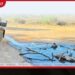 යාල වනෝද්යානයේ සතුන්ට බවුසර්වලින් ජලය සැපයීම ඇරඹේ