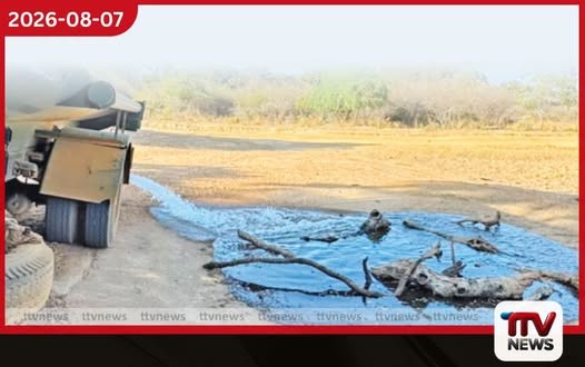 යාල වනෝද්යානයේ සතුන්ට බවුසර්වලින් ජලය සැපයීම ඇරඹේ
