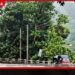 තාවකාලිකව වසා දැමූ  කොළඹ – මහනුවර මාර්ගය  යළි විවෘත කෙරේ