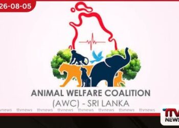 සංස්කෘතික පෙරහැරවල අලි ඇතුන් යොදා ගැනීම තහනම් කරන බවට පළ වන ප්රකාශ අසත්යයි