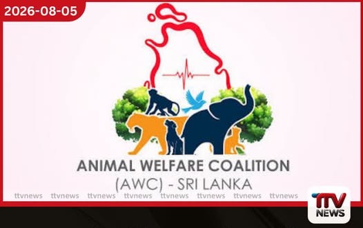සංස්කෘතික පෙරහැරවල අලි ඇතුන් යොදා ගැනීම තහනම් කරන බවට පළ වන ප්රකාශ අසත්යයි
