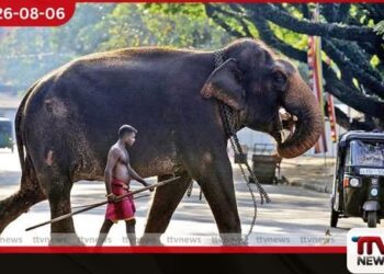 සත්ව සුබසාධන පනතේ ගැටලු විසඳා ගැනීමට හීලෑ අලි හිමියන් සහ ඇමති ලාල්කාන්ත අතර විශේෂ හමුවක්