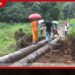 ඇමෙරිකාවේ අවි හිඟයක් නැහැ!