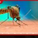 උසස් පෙළ විභාග කාලසීමාවේ  ආපදා දැනුම්දීමට  විශේෂ දුරකථන අංක 5ක්  හඳුන්වා දෙයි