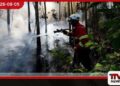සීතාඑළිය රක්ෂිතයට ගිනි තැබූ සැකකරු වරද පිළිගනී