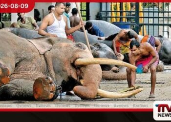 සත්ව සුබසාධන පනතට නව සංශෝධන සත්ව අයිතිවාසිකම් සංවිධාන අතර දැඩි මතභේදයක්
