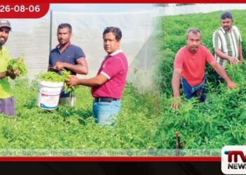 එක කන්නයකින් ලක්ෂ ගණනක්!