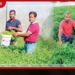 එක කන්නයකින් ලක්ෂ ගණනක්!