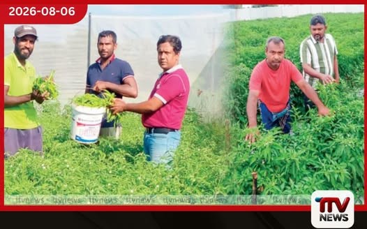 එක කන්නයකින් ලක්ෂ ගණනක්!