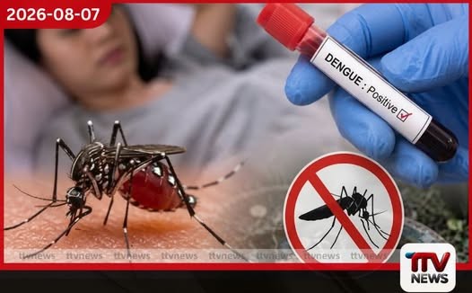 අගෝස්තු මාසයේ මුල් දින 6 තුළ ඩෙංගු රෝගීන් තුන්දහස ඉක්මවයි