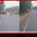 ලොරි රියදුරෙක් වන අලියෙකුගෙන් පුද්ගලයෙකු බේරගෙන!