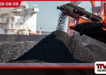 බාල ගල්අඟුරු ආනයනයෙන් රුපියල් බිලියන 10කට අධික පාඩුවක් වී ඇතැයි එස්.එම්. මරික්කාර් චෝදනා කරයි