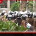 කුරුවිට සහ පල්ලන්සේන බන්ධනාගාරවල ඇති වූ නොසන්සුන්කාරී තත්ත්වය පිළිබඳව විමර්ශනයක්
