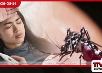 ඩෙංගු රෝගීන්ගේ සංඛ්යාව 91,000 සීමාව පසු කරයි