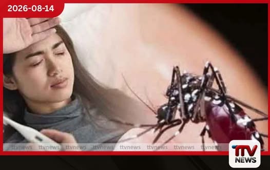 ඩෙංගු රෝගීන්ගේ සංඛ්යාව 91,000 සීමාව පසු කරයි
