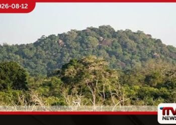 යාලේ වෙඩි හුවමාරුවක්  දඩයක්කාරයා අත්අඩංගුවේ