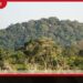 යාලේ වෙඩි හුවමාරුවක්  දඩයක්කාරයා අත්අඩංගුවේ