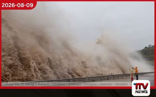 චීනයේ නැගෙනහිර වෙරළට ඩොල්ෆින් සුළි කුණාටුවෙන් දැඩි බලපෑම්