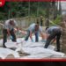 රුසියානු ප්‍රහාර හේතුවෙන් ජූලි මාසයේදී යුක්‍රේන සිවිල් වැසියන්ගේ මරණ සංඛ්‍යාව ඉහළට