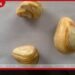 කෝටියකට අධික වටිනාකමකින් යුත්  ගජමුතු 3ක් සමඟ  පුද්ගලයෙක් කොල්ලුපිටියේදී  අත්අඩංගුවට