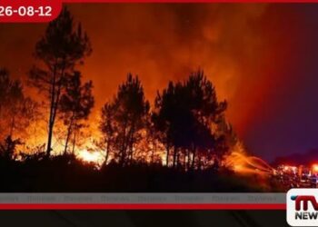 ප්‍රංශයේ උතුරු වෙරළ තීරයේ හටගත් ලැව්ගින්නක් හේතුවෙන් පුද්ගලයින් 1200ක් ඉවත් කරයි
